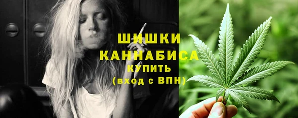 стаф Богородицк