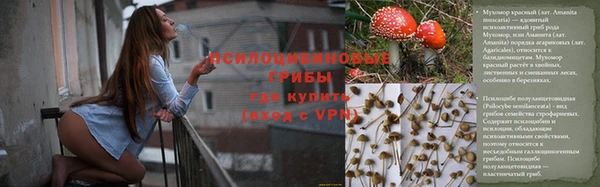 стаф Богородицк