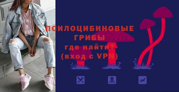 спиды Богородск