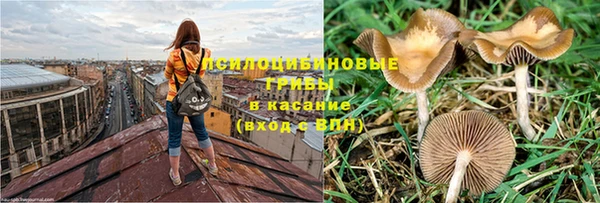 стаф Богородицк
