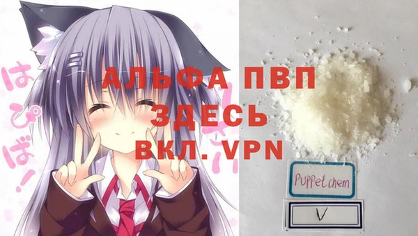 спиды Богородск